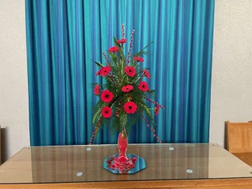 Poppy Display