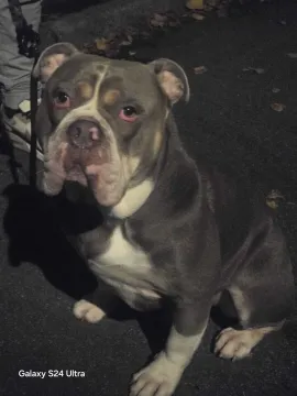 Whatsapp Image 2025-11-24 At 17