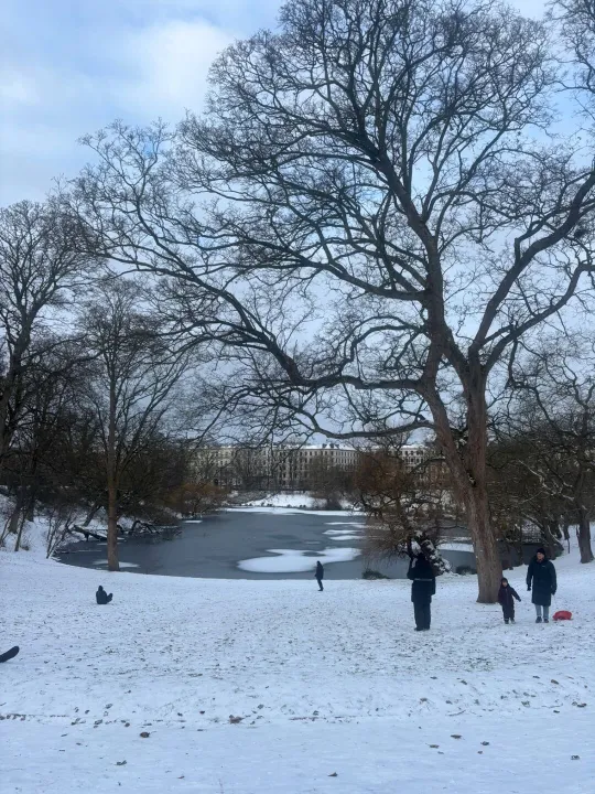 Women'S Group Update 3