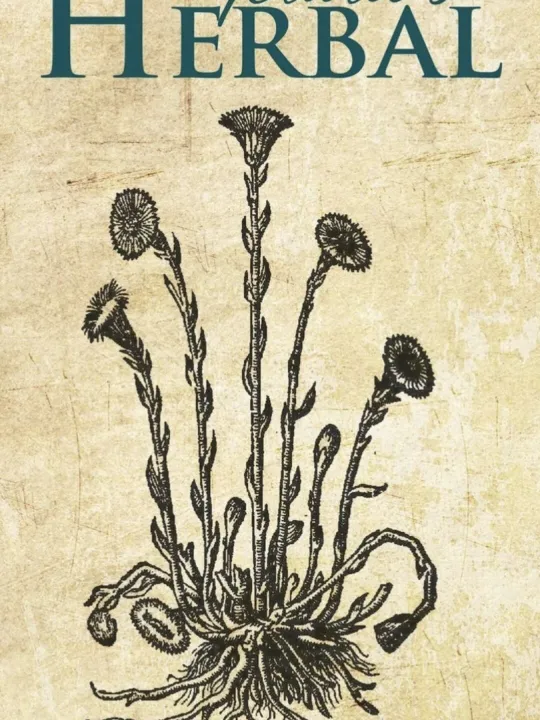 E9081b99-D160-4d73-8154-2fd0fbd28801_1_201_a