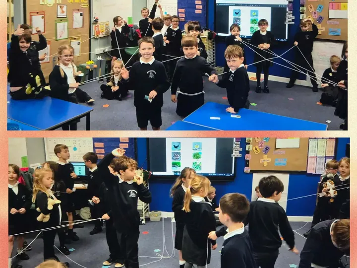 British Science Week &ndash; Ecosystems