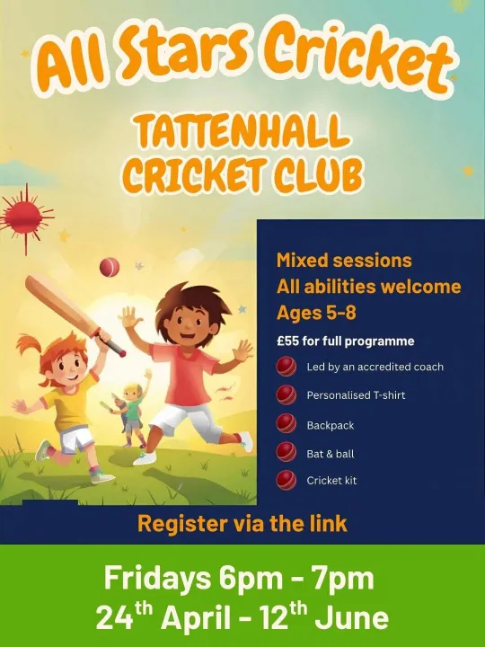 All Stars Cricket
