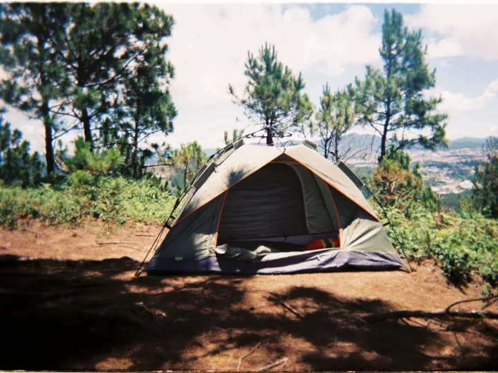 A tent pitched among trees on a sunny day