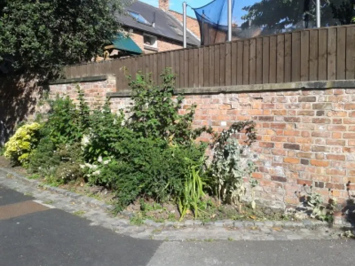 Wells Cottages Garden