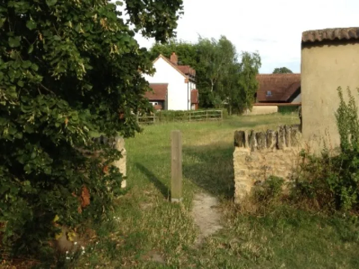 Community Orchard 02
