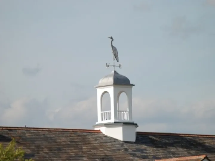 Stork oversees cricket from Flacca Court