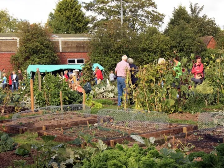 Allotments &ndash; 1