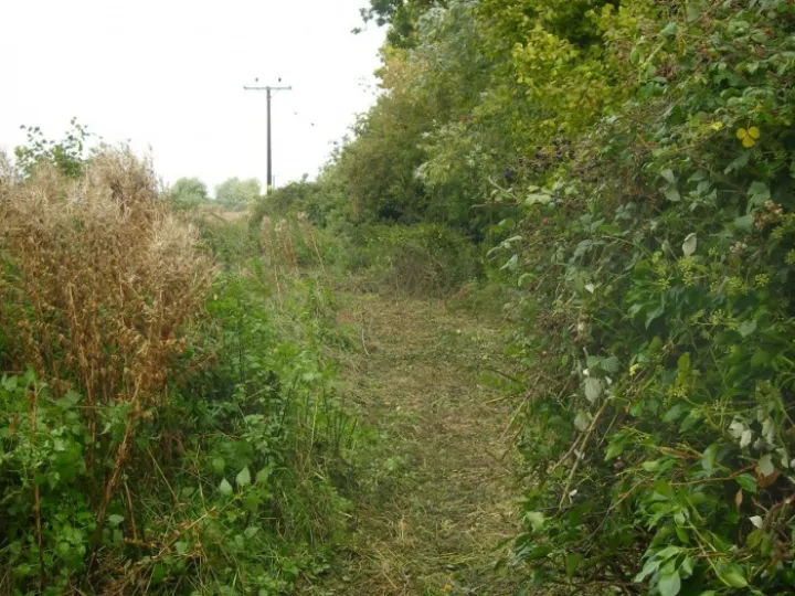 Behind Tarvin Mill (1)