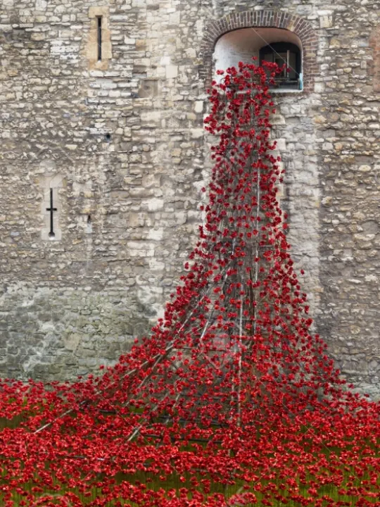 Poppies at the Tower of London