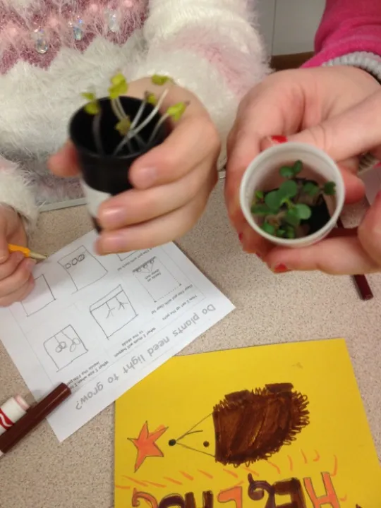 Brownies science investigation badge