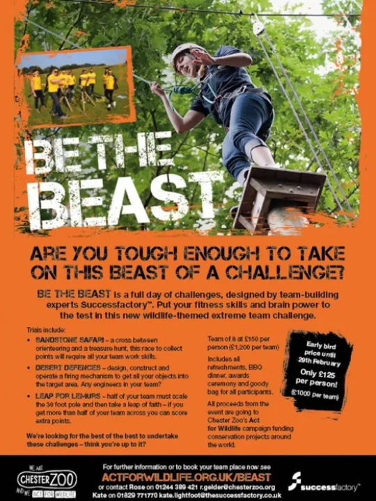 Success Factory chester Zooo