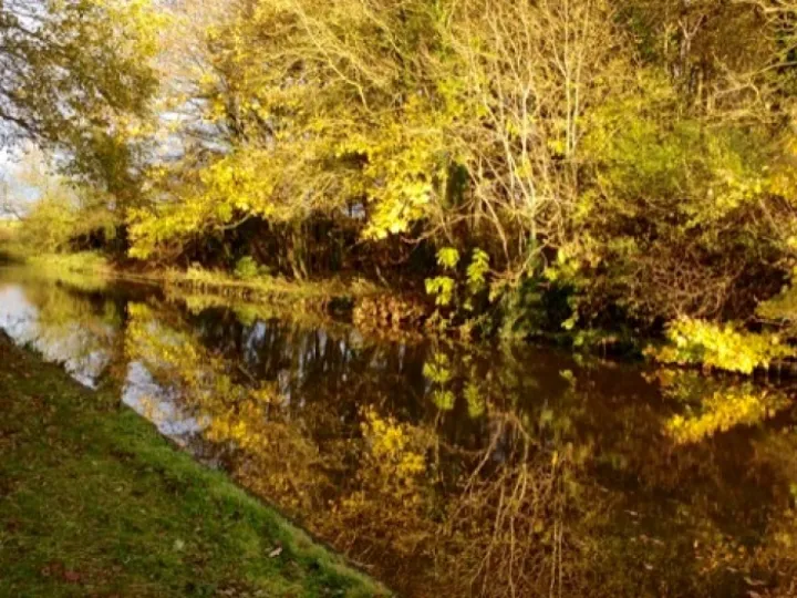 Between Bridges 11 – 12