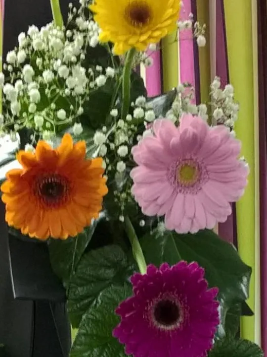 Flower Club Jan 20Wp_20170111_21_35_55_pro  2  (1)