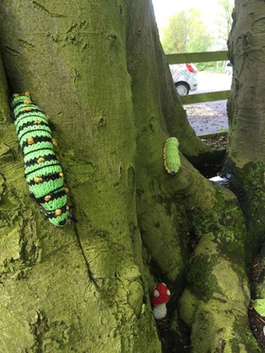 Woollen Wood – caterpillar_large
