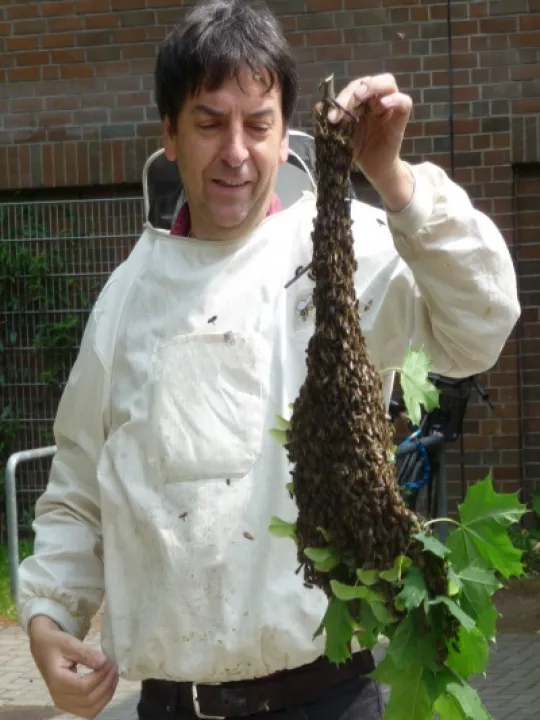 Bee Swarm & Keeper 03