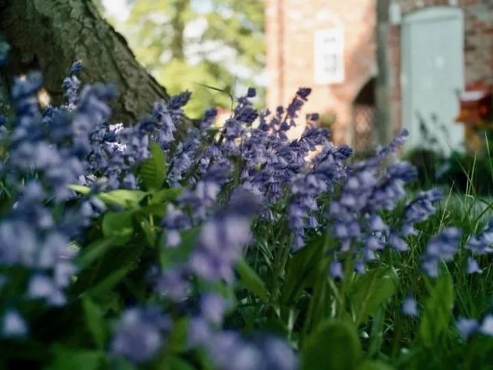 Kathryn's musings May2