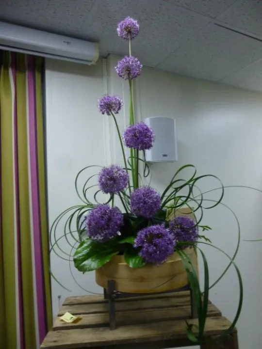 Flower Club May 2018 P1030513