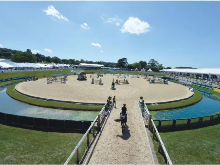 WEB_Bolesowrth_International-1024x768