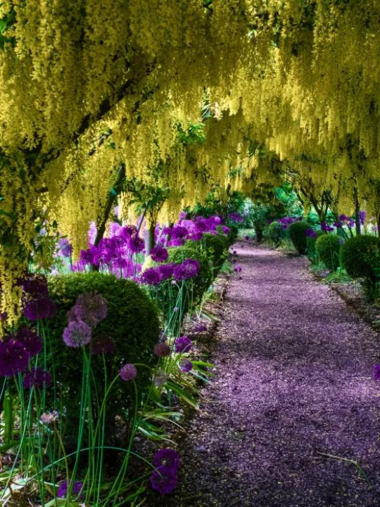 Kathryns June musing