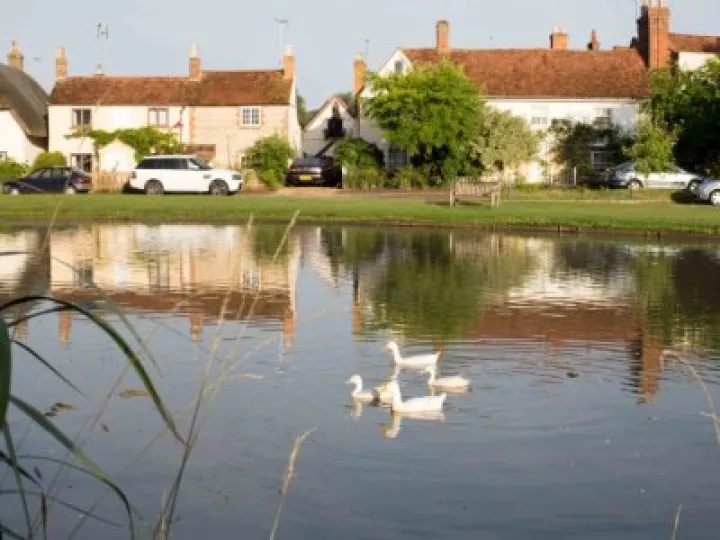 White Ducks at Church End