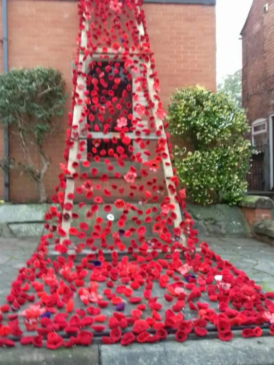 TMC Poppy Display 20181105_162149_resized
