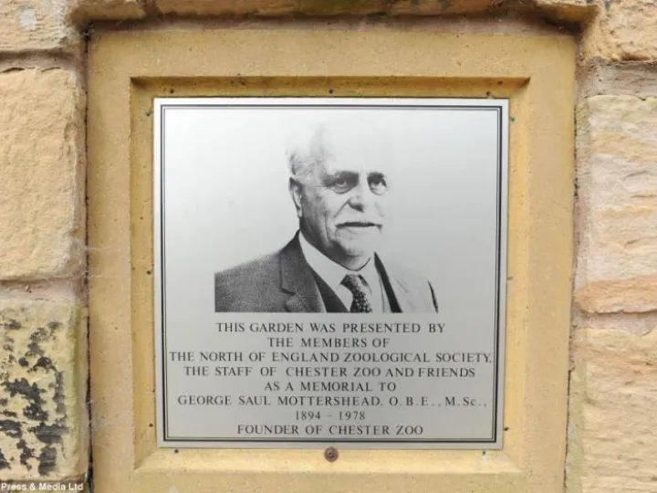 George Mottershead