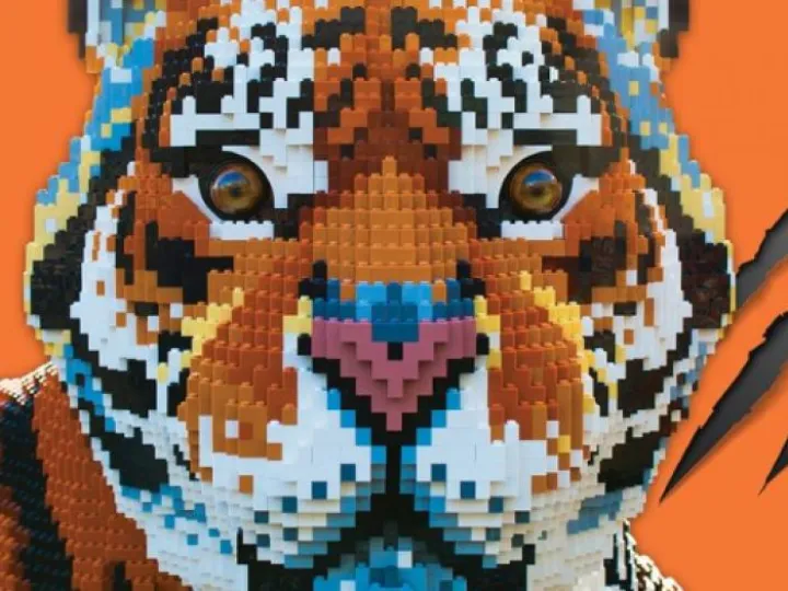 LEGO-tiger-featured-800-445-800x445 &ndash; Copy
