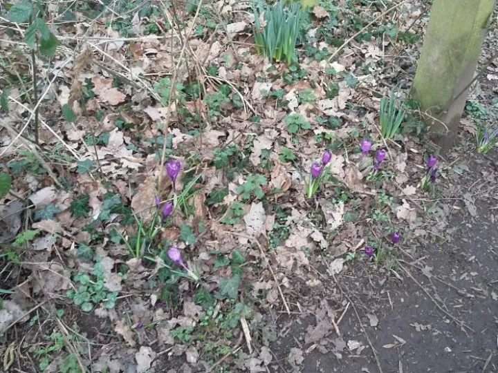 February 2019 20190213_115656_resized