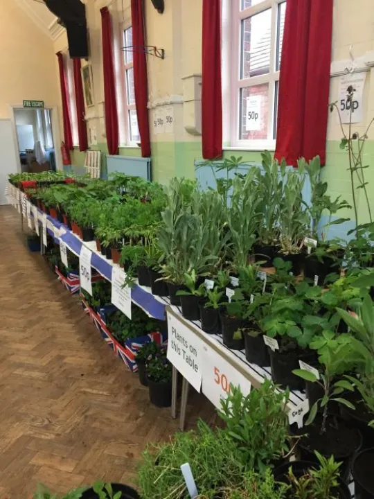 Image: 6A0CDFDF-B1AD-4049-95F2-DEA0DCBCF967