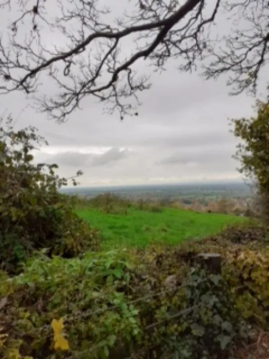 U3A Walk Nov 14 jpg