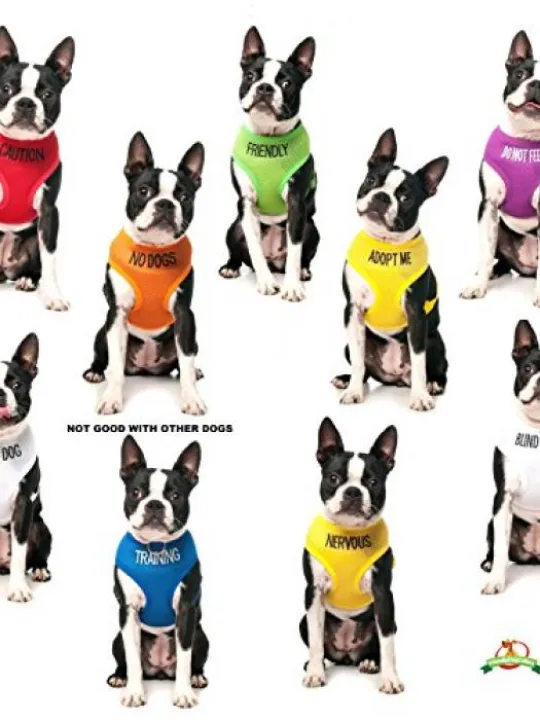 FRIENDLY-Green-Colour-Coded-Non-Pull-Dog-Harness-known-As-Friendly-PREVENTS-Accidents-By-Warning-Others-Of-Your-Dog-In-Advance-0-5