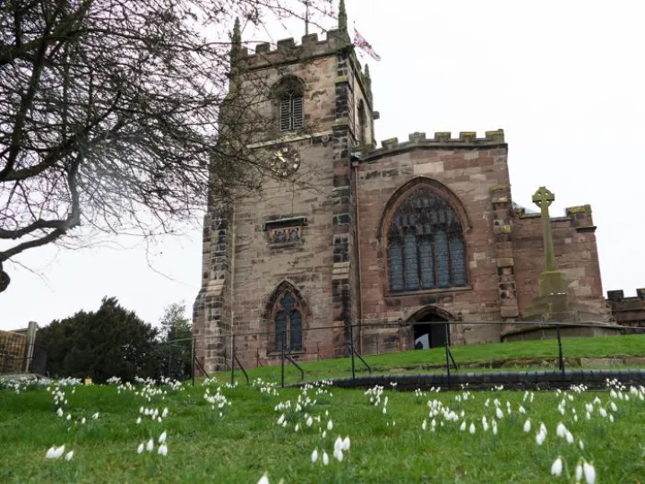 Audlem wi snowdrops v3