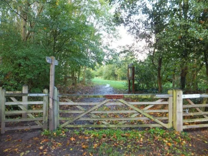 dog-walks-in-cheshire-Tarvin-Community-Woodland