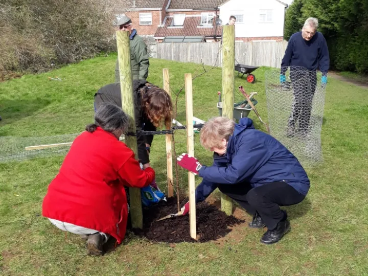 Sheerstock tree planting Mar20_03