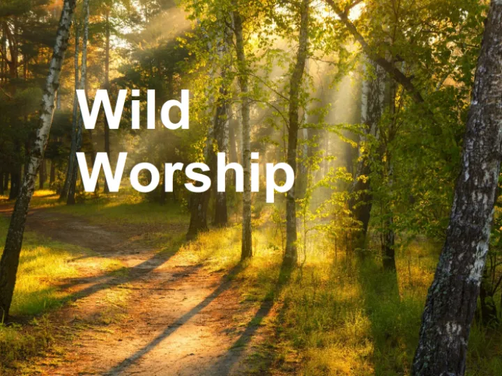 Wild Worship
