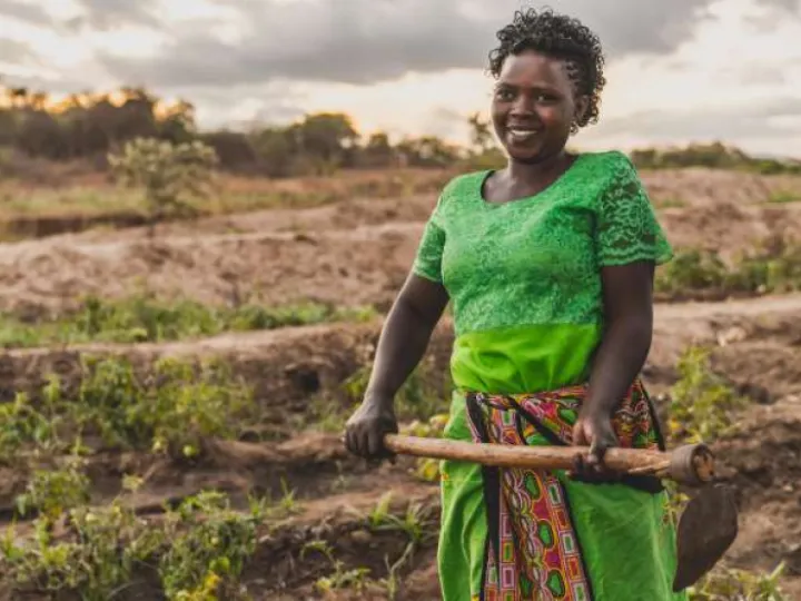 Faiths fields of hope