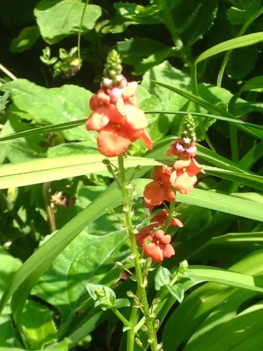 CD6CBF56-0FC3-4827-8206-8895DEF78EA7