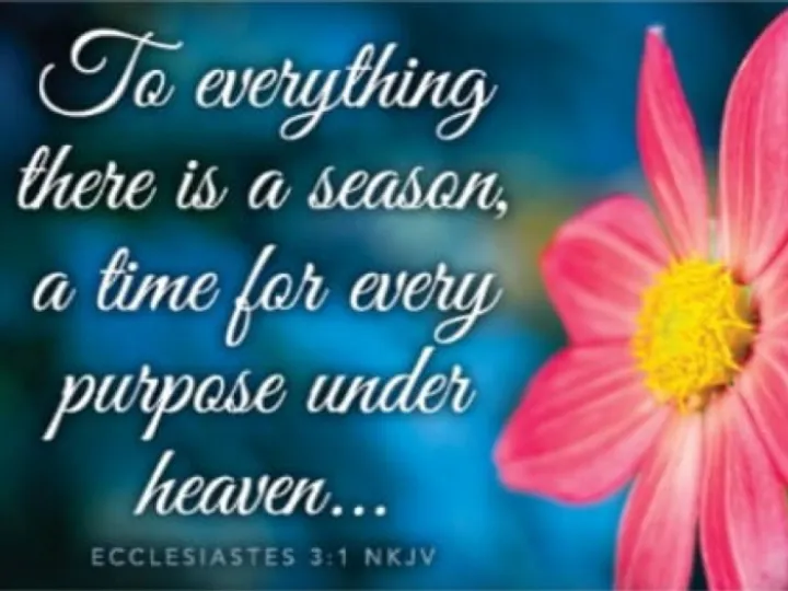 A time to live, a time to die