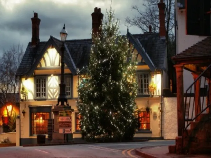 Lord Combermere at Christmas