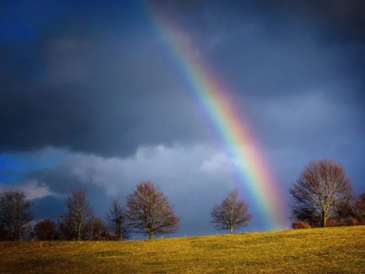 rainbow-5108122_1920 (1)