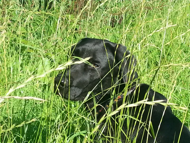 Image: 20200830_093547