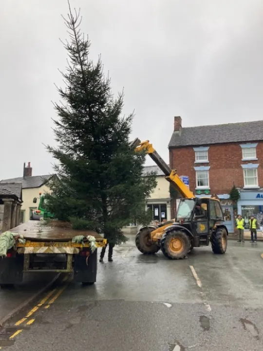 ADAS 1- Tree Arrives