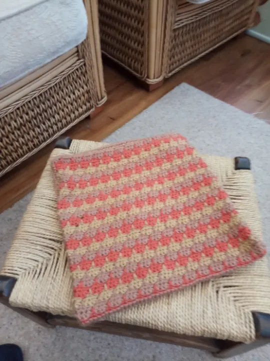 Image: 2021-02-02 Carolyns cushion