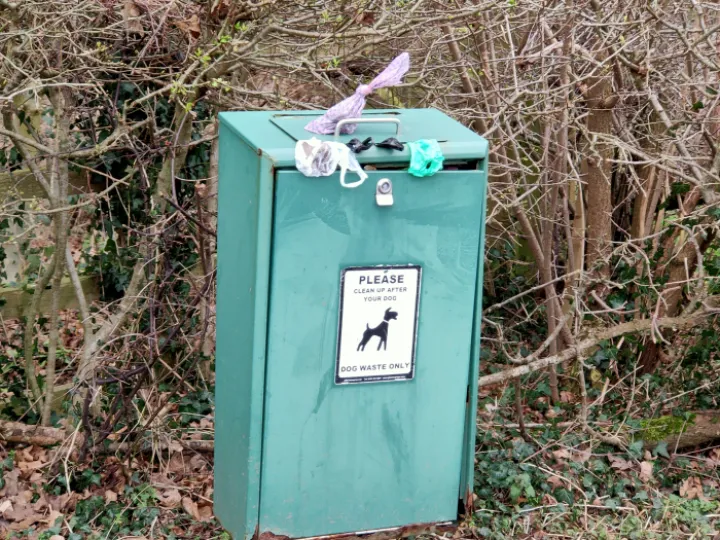 Litter bin dog Feb 2021 IMG20210217160022