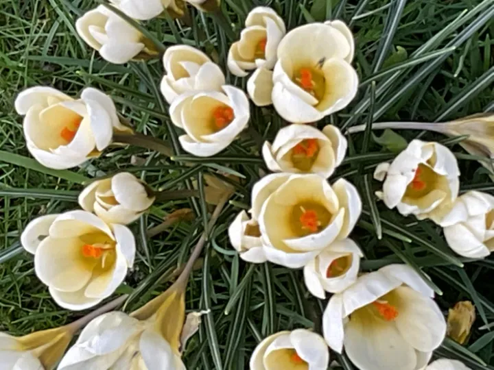 AE3F1DD6-E5EE-47F1-8ED7-C58D3F766459