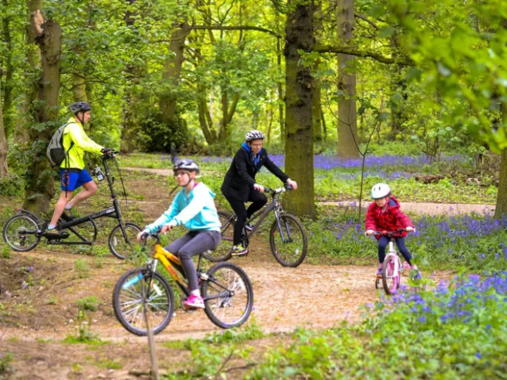 Nostell Priory MTB cycle trail 01