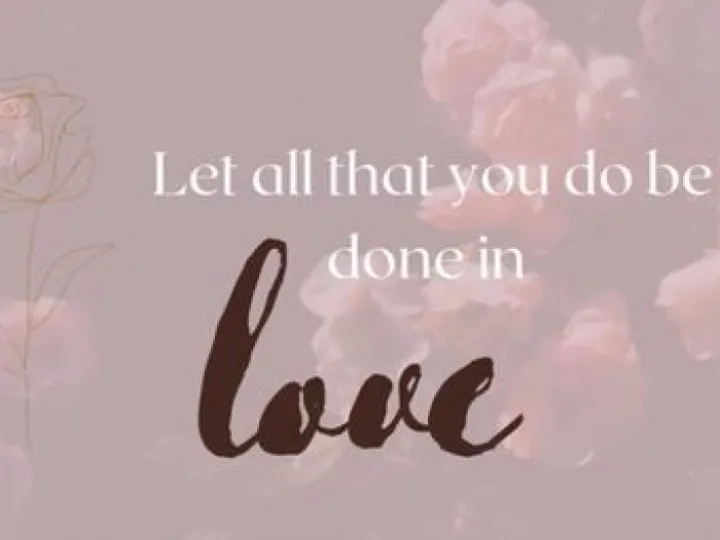 Hope and Millie 28-03-2021