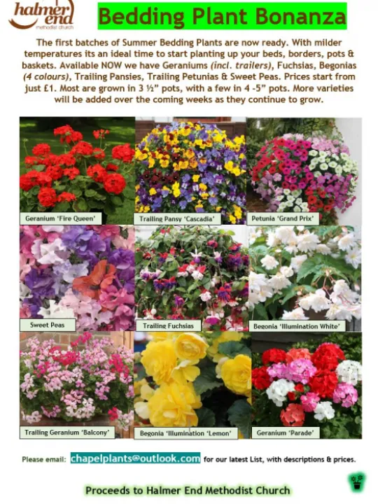 Bedding Plant Bonanza Flyer 09-05-21