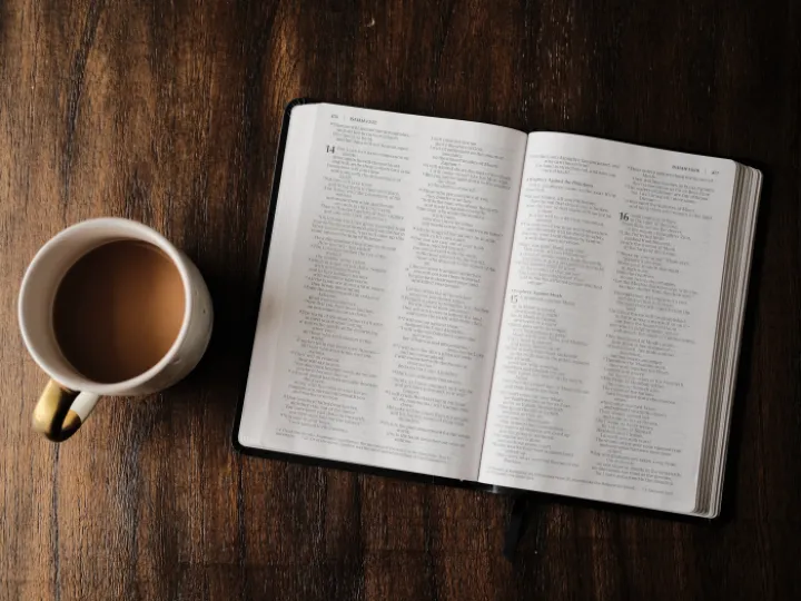 Bible study T- Steele