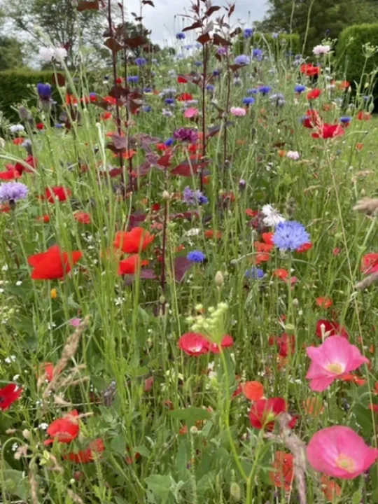 D5C62C55-C34B-4285-8A18-93A6966BE2A0